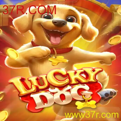 Tudo Sobre LuckyDog: Como Jogar e Se Divertir com 37R.COM